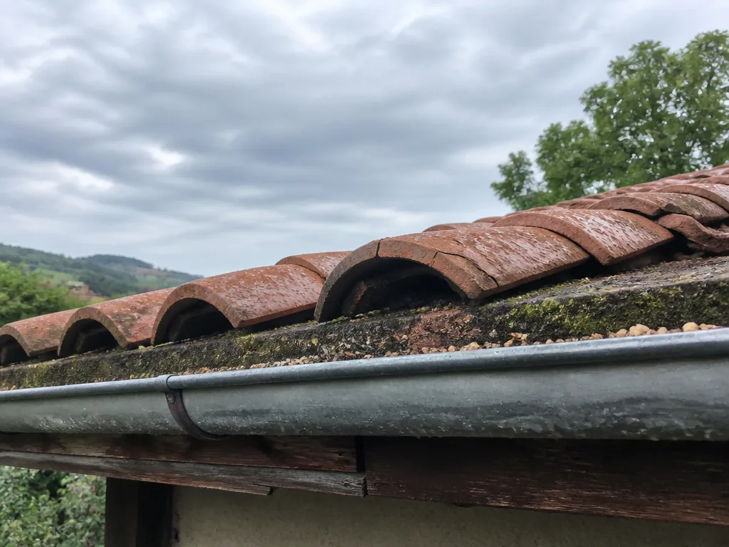 Common Warning Signs Your Clayton Roof Might Be Hinting At